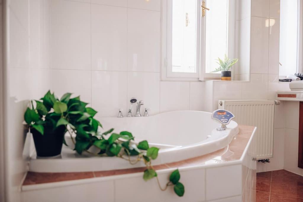 Magnificent Historical Penthouse In The Heart Of Prague Leilighet Eksteriør bilde